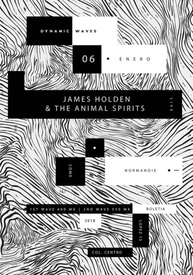 James Holden & The Animal Spirits dará un show en Normandie