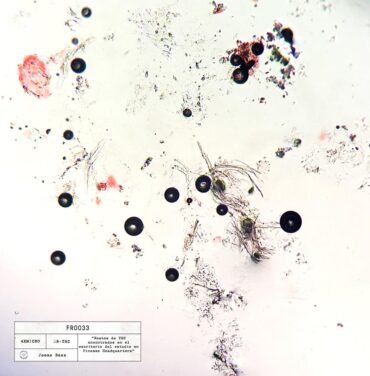 Jesse Baez - B.A.E.Z EP