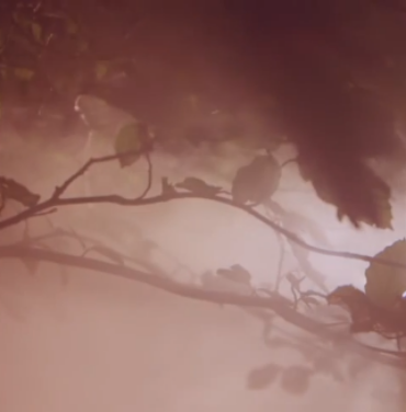 Junip presenta video para 