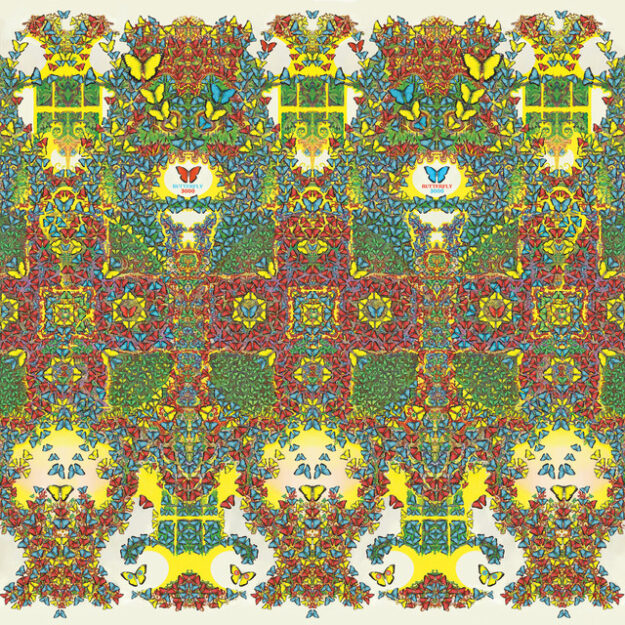 King Gizzard and the Lizard Wizard — Butterfly 3000