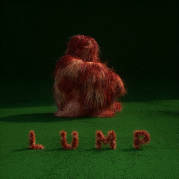 LUMP — LUMP