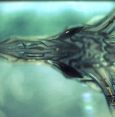 Youth Lagoon presenta video para 