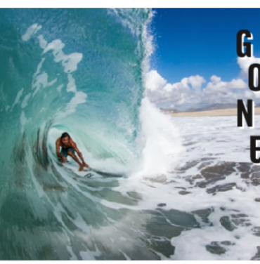 Summer Fest Series by LOOT