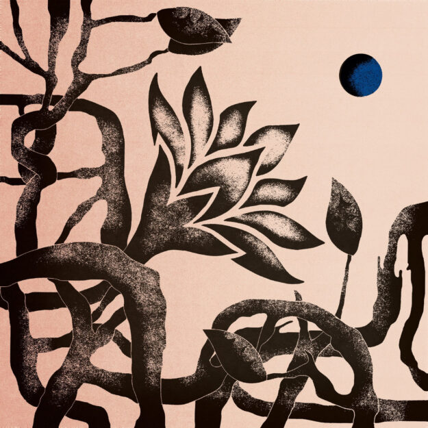 Los Nasdrovia — Pequeño Círculo Azul