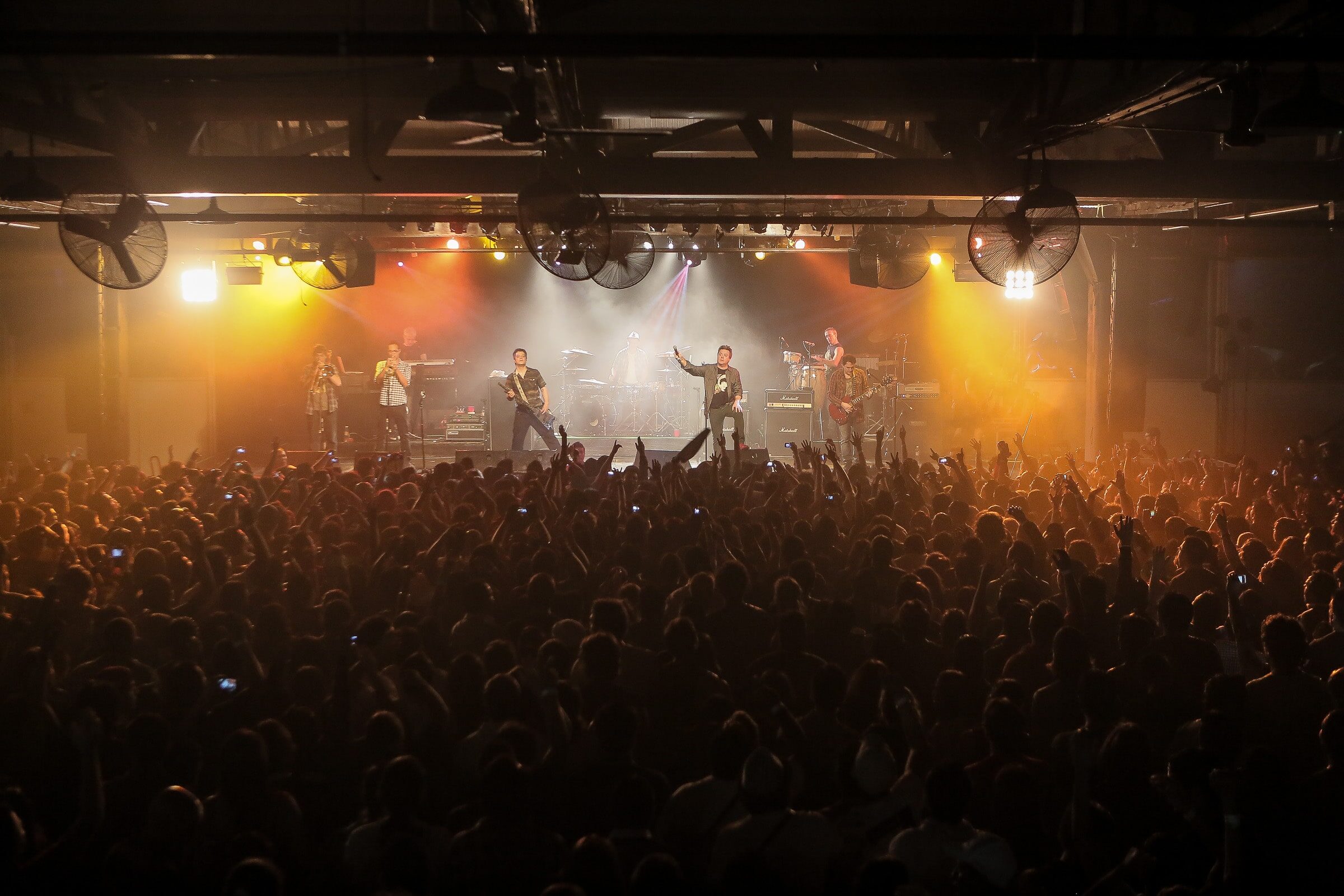 ¡Viva el amor, viva la vida, viva Pericos!