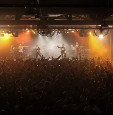 ¡Viva el amor, viva la vida, viva Pericos!