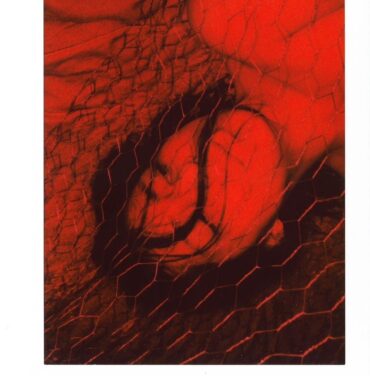 Luisa Almaguer estrena “Una Perra”