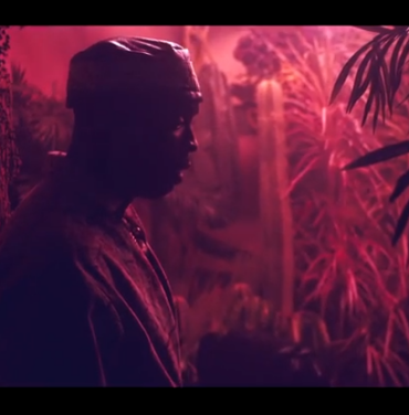 MGMT presenta video para 