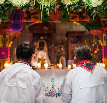 Los Tesoros Vivientes de #CumbreTajín