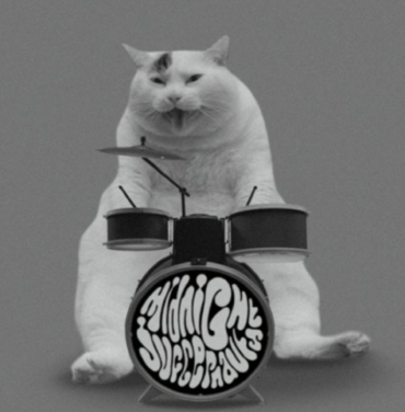 Midnight Juggernauts estrena felino video