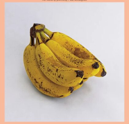 Mac McCaughan — The Sound of Yourself