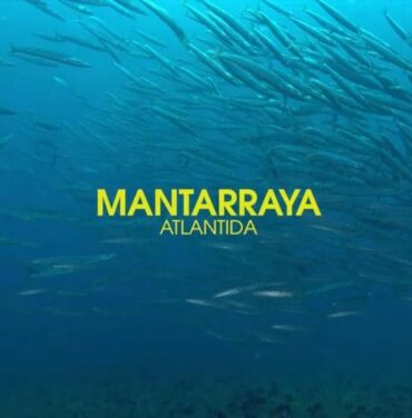 Mantarraya Chilena Da el Salto a la Atlántida