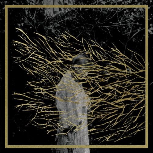 Forest Swords presenta álbum debut
