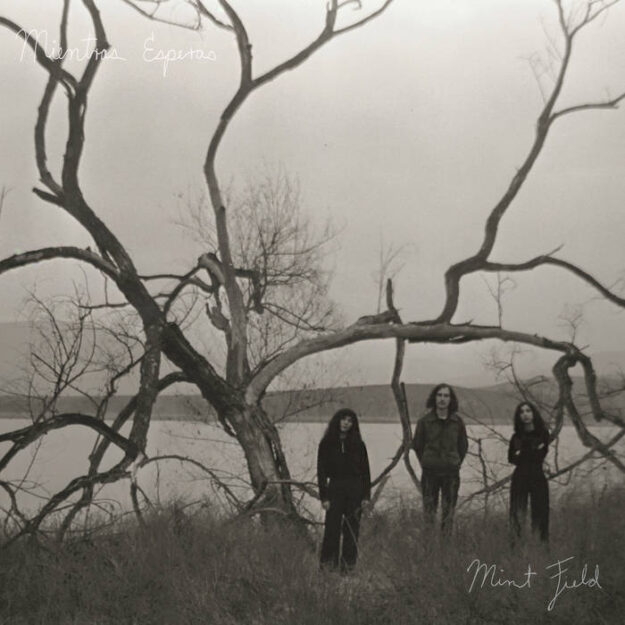 Mint Field — Mientras esperas (EP)