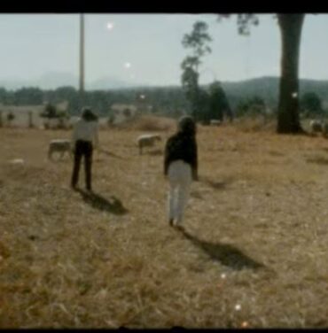 Mint Field estrena el clip 