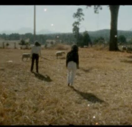 Mint Field estrena el clip 