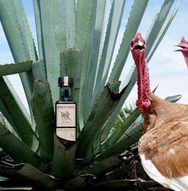 Conoce la nueva presentación de Mezcal Montelobos