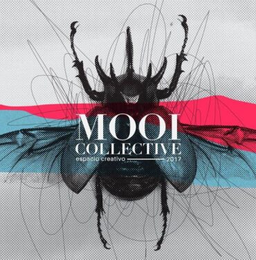 Mooi Collective se renueva