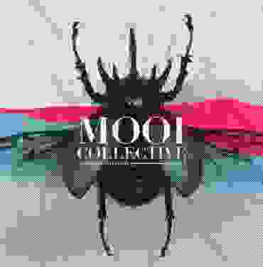 Mooi Collective se renueva