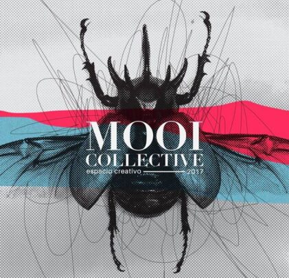 Mooi Collective se renueva