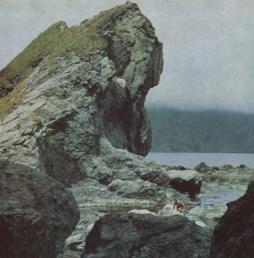 Motorama — Many Nights