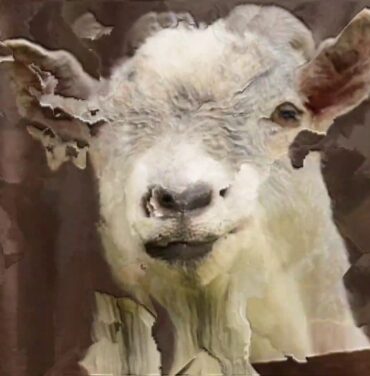 “Nothing Will Hurt”, lo nuevo de No Joy