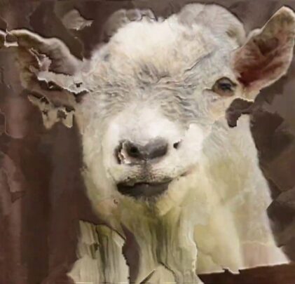 “Nothing Will Hurt”, lo nuevo de No Joy