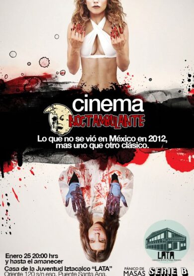 CINEMA NOCTÁMBULANTE: Lo que no se vió en México en 2012