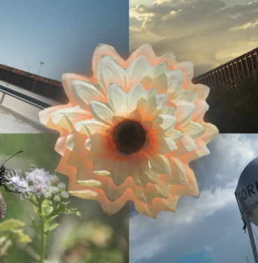 Oh Sees presenta el video 