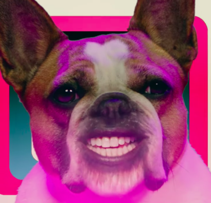 “Buoys”, el nuevo video de Panda Bear