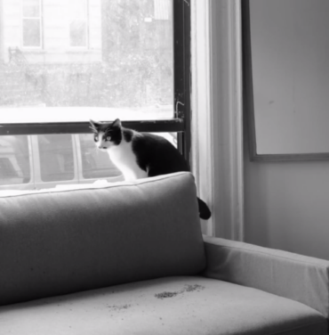 Parquet Courts estrena video