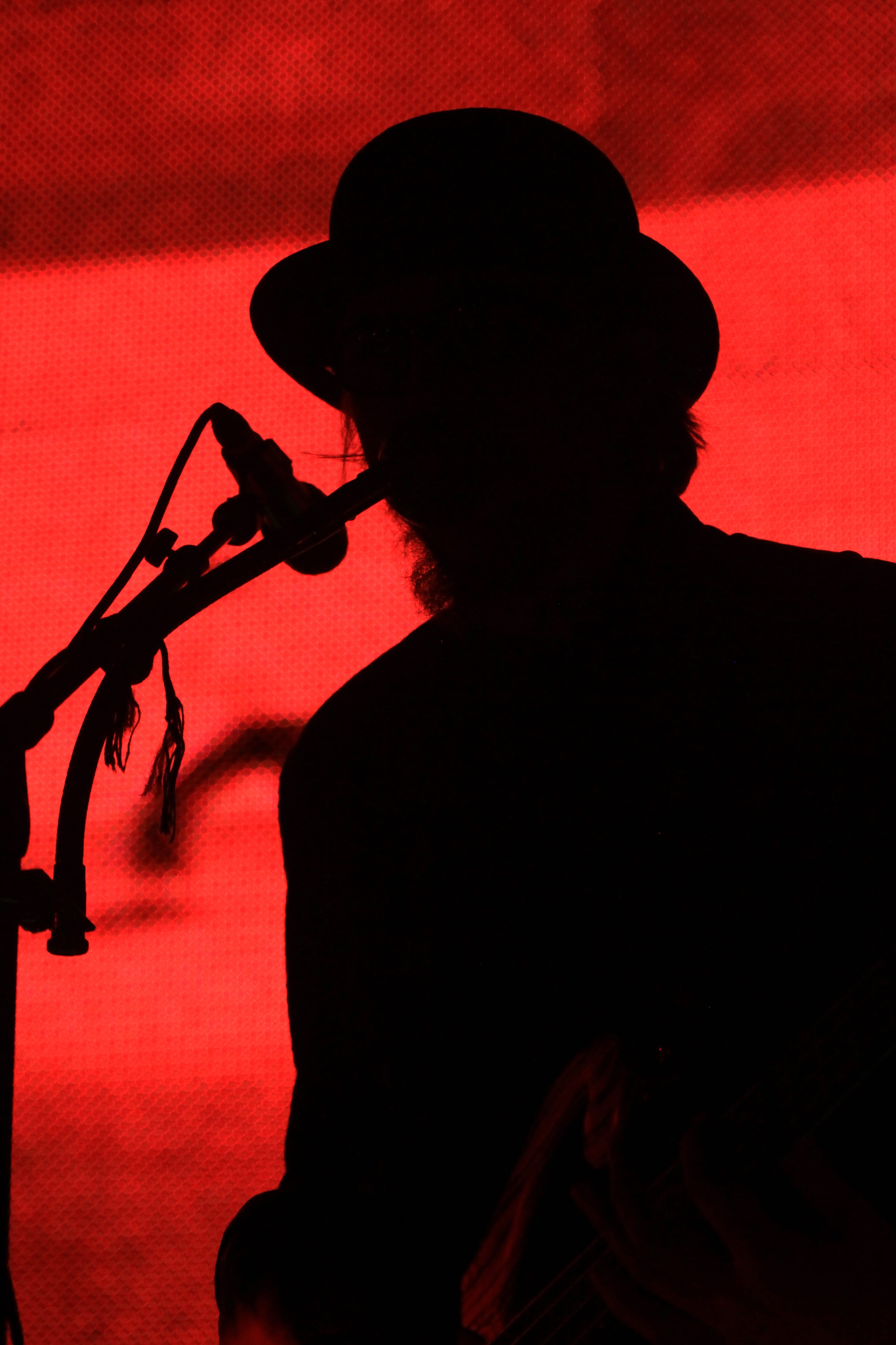 PRIMUS: De vuelta a las cavernas con el cerebro frito