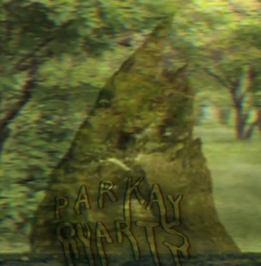 Parquet Courts estrena video