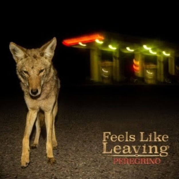 Peregrino — Feels Like Leaving