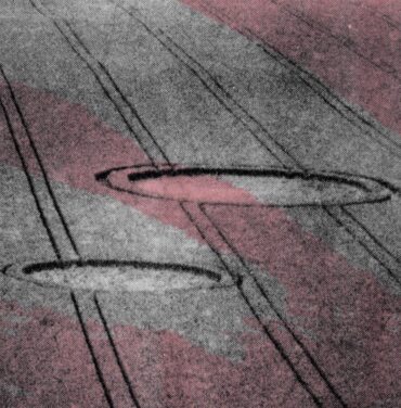 Protistas — Microonda