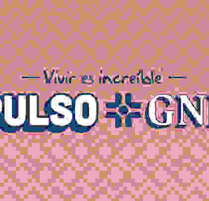 Conoce los detalles de Pulso GNP 2019