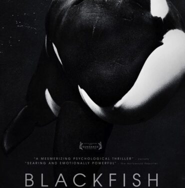 Blackfish: Las maldades de Sea World #Ambulante2014