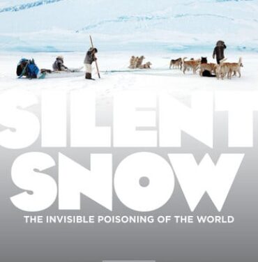 Nieve Silenciosa #MICGénero2013