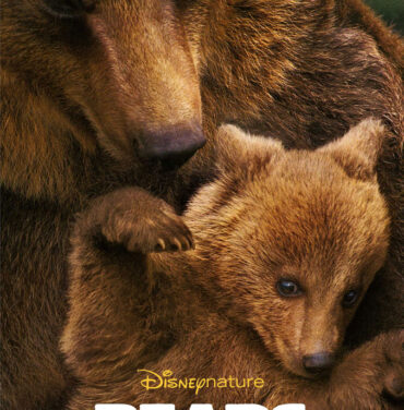 Osos: Película de clausura en Cinema Planeta