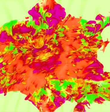 Órgano de Corti: Un viaje que hace varias escalas