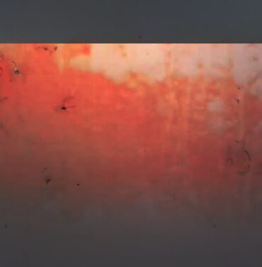 Plasma Zero: experiencias visuales y armónicas