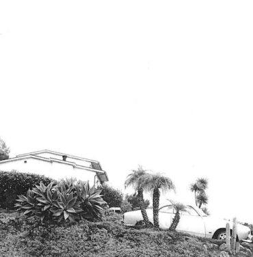 Las ensoñaciones decadentes de Timber Timbre