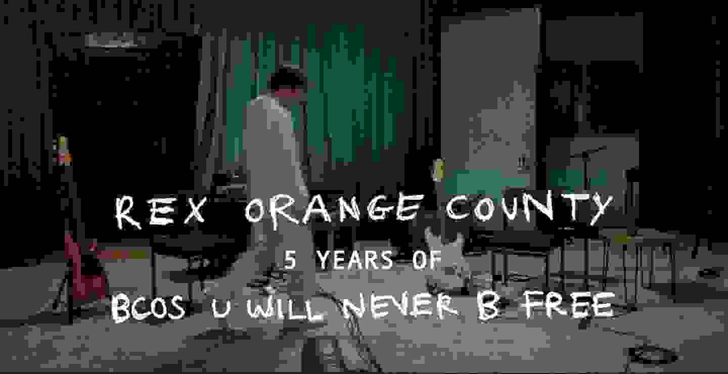 Rex Orange County comparte show en honor a su álbum debut