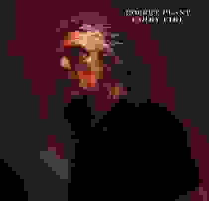 Robert Plant — Carry Fire