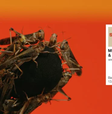 PRECIOS: Conoce el lineup del Festival Sónar 2024