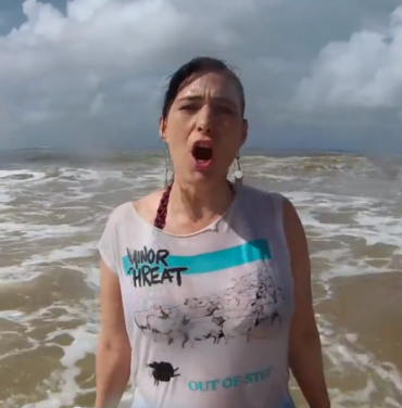 The Julie Ruin estrena video