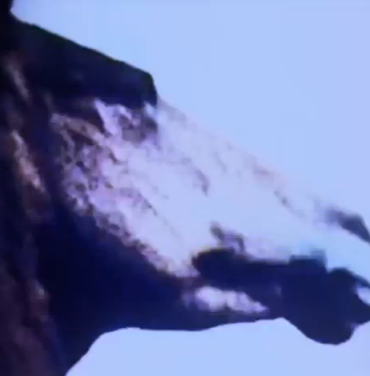 Sigur Rós comparte “Kveikur” con nuevo video