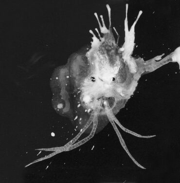 Sigur Rós — Route One