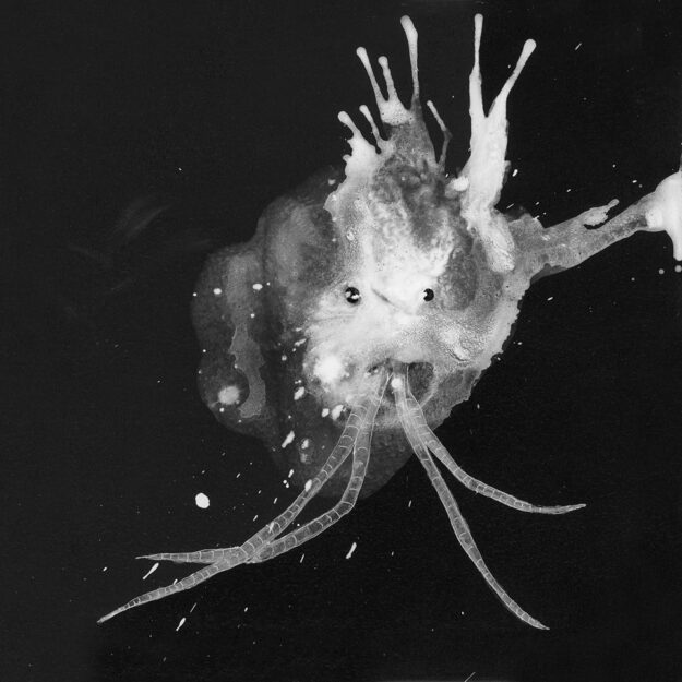 Sigur Rós — Route One