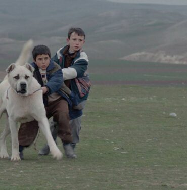 Sivas en el GIFF 2015